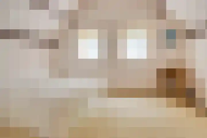 Ketelstraat 10 Diever thumbnail 21