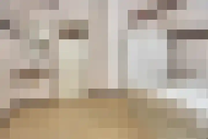 Ketelstraat 10 Diever thumbnail 22