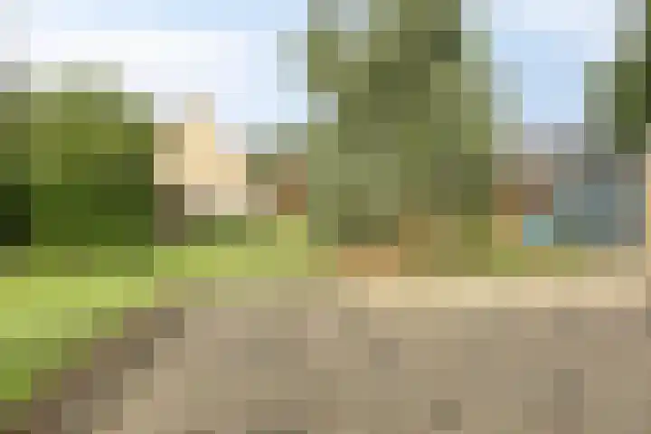Ketelstraat 10 Diever thumbnail 29