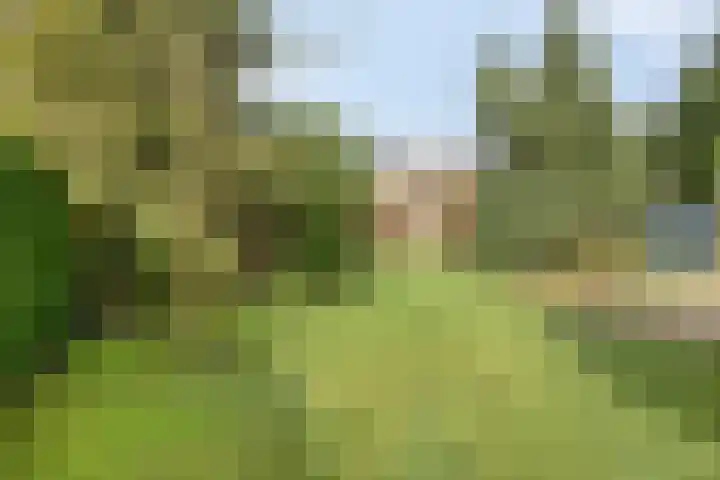 Ketelstraat 10 Diever thumbnail 30