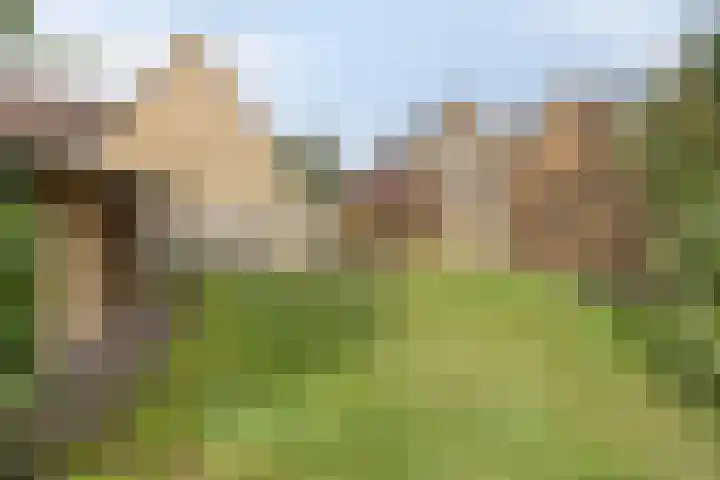 Ketelstraat 10 Diever thumbnail 31