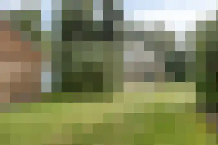 Ketelstraat 10 Diever thumbnail 34
