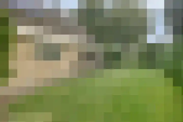 Ketelstraat 10 Diever thumbnail 36
