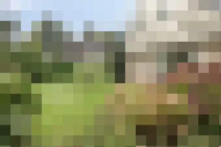 Ketelstraat 10 Diever thumbnail 37