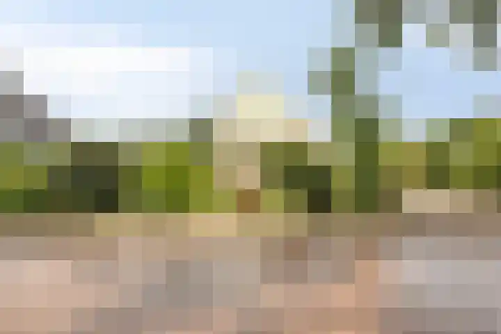 Ketelstraat 10 Diever thumbnail 38