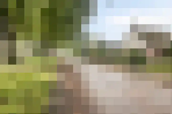 Ketelstraat 10 Diever thumbnail 40