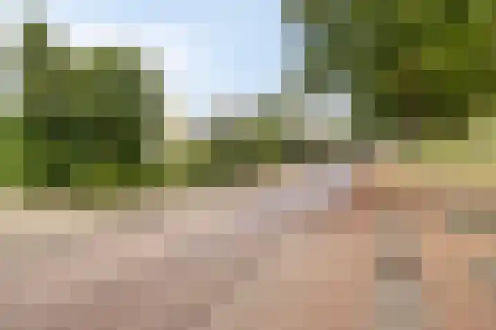 Ketelstraat 10 Diever thumbnail 41