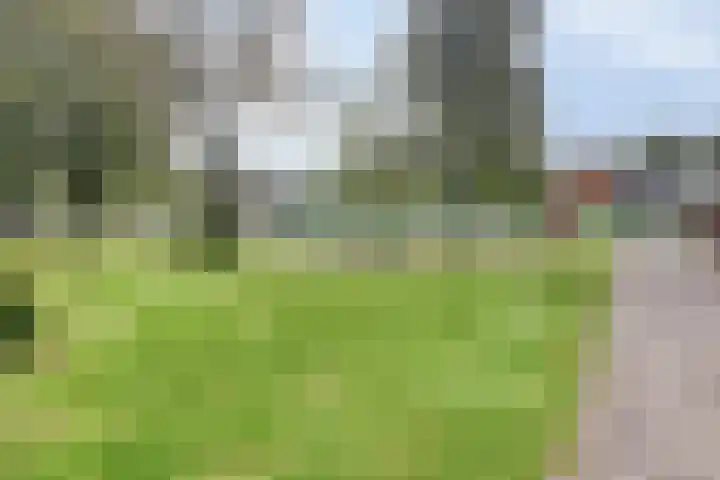 Ketelstraat 10 Diever thumbnail 43