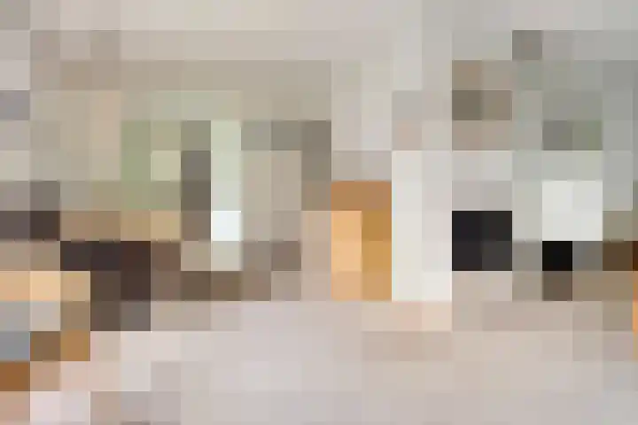 Ketelstraat 10 Diever thumbnail 8