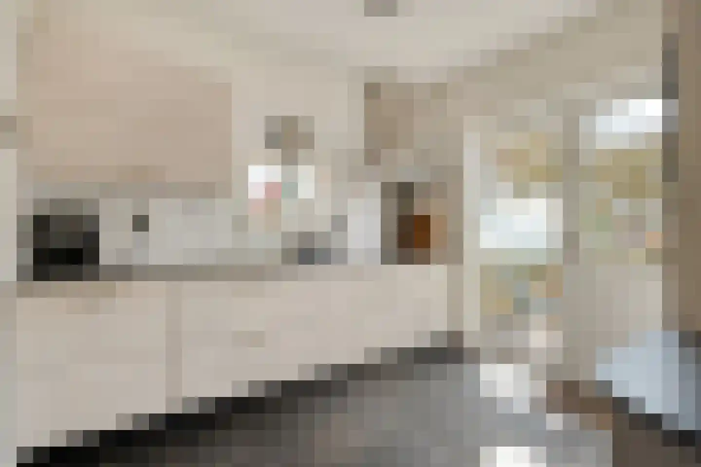 Ketelstraat 4 Diever thumbnail 12