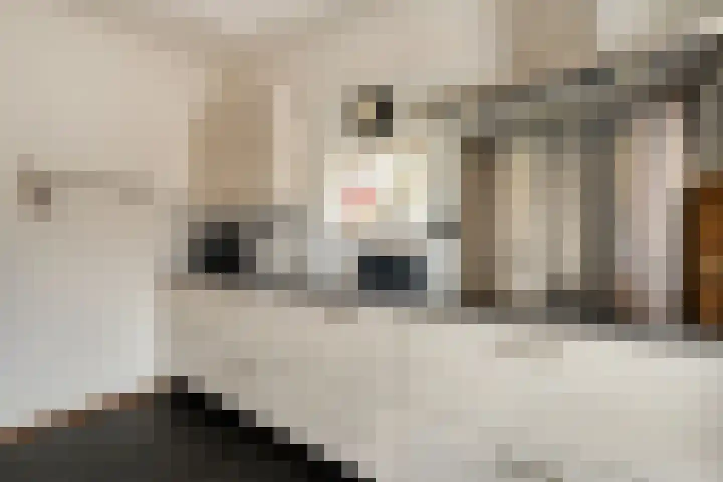 Ketelstraat 4 Diever thumbnail 13