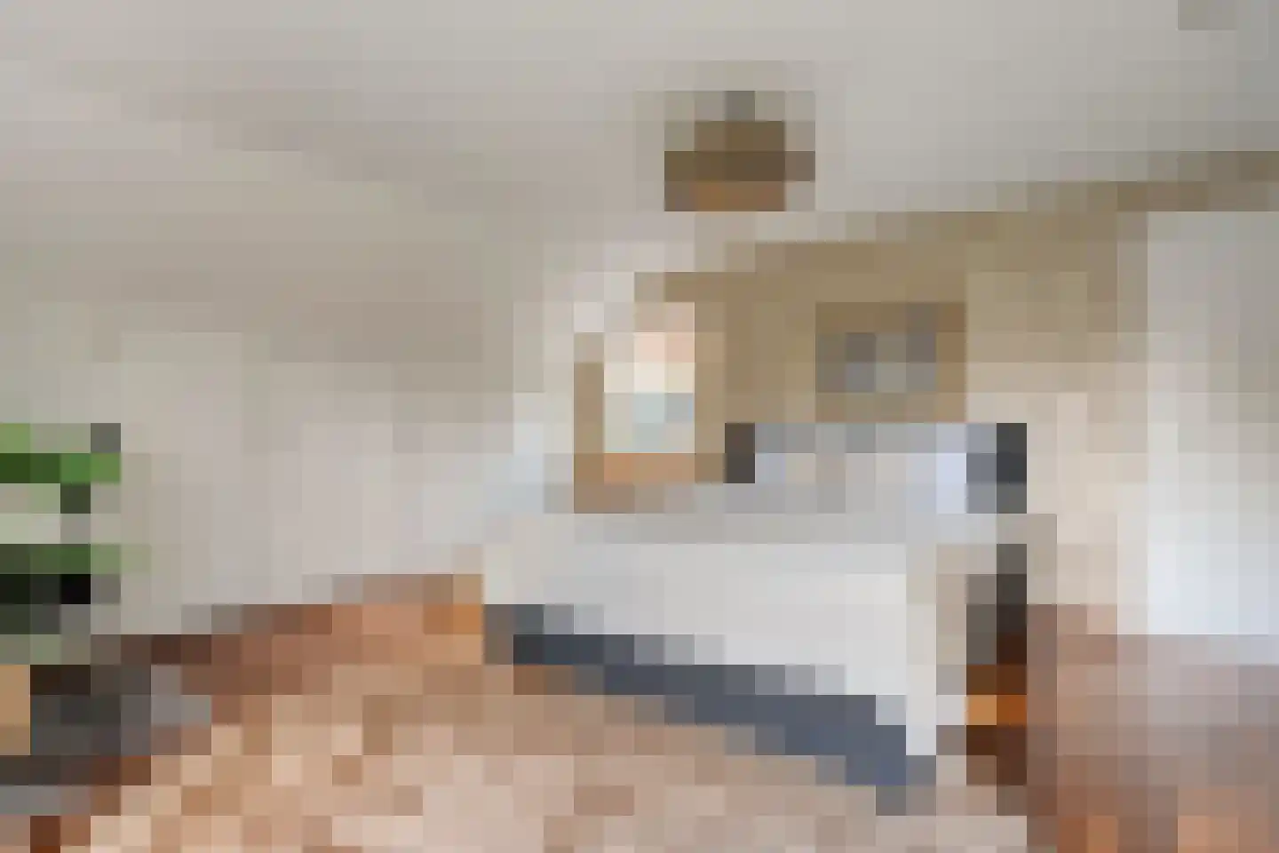 Ketelstraat 4 Diever thumbnail 18