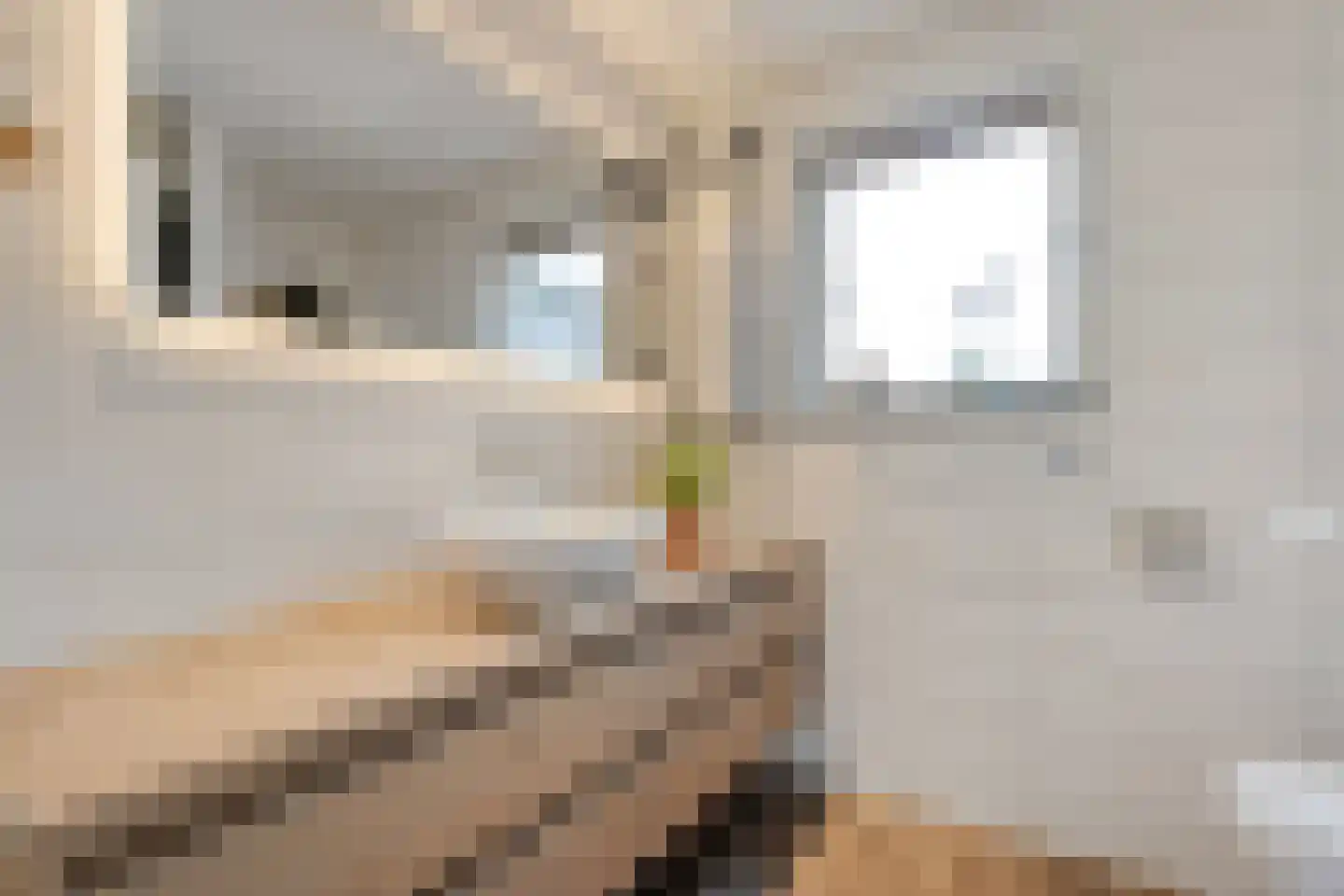 Ketelstraat 4 Diever thumbnail 24