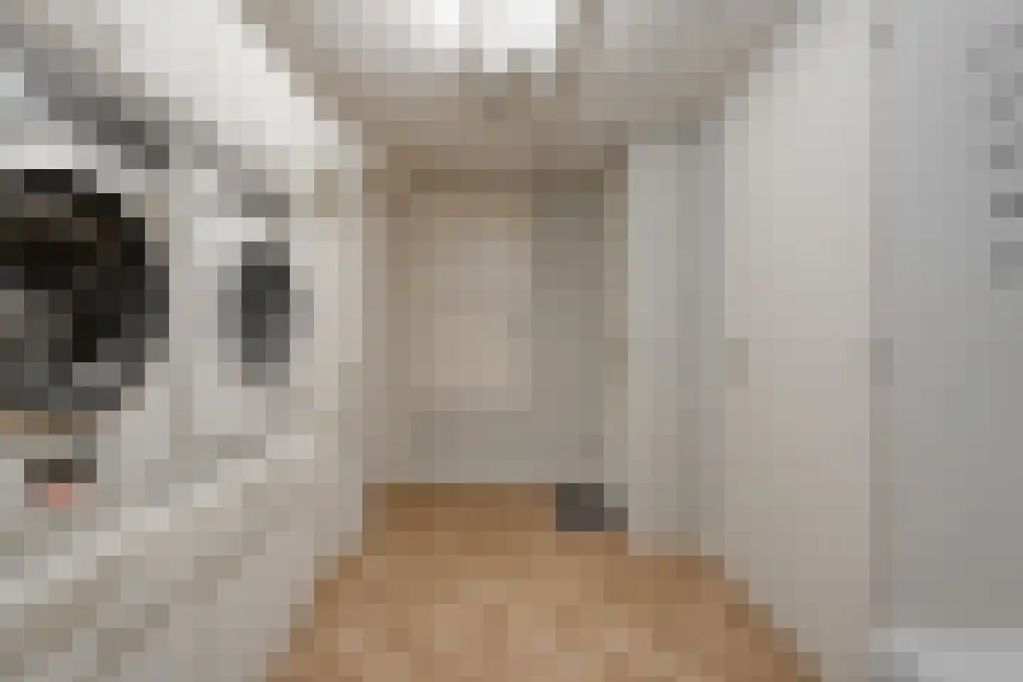 Ketelstraat 4 Diever thumbnail 29