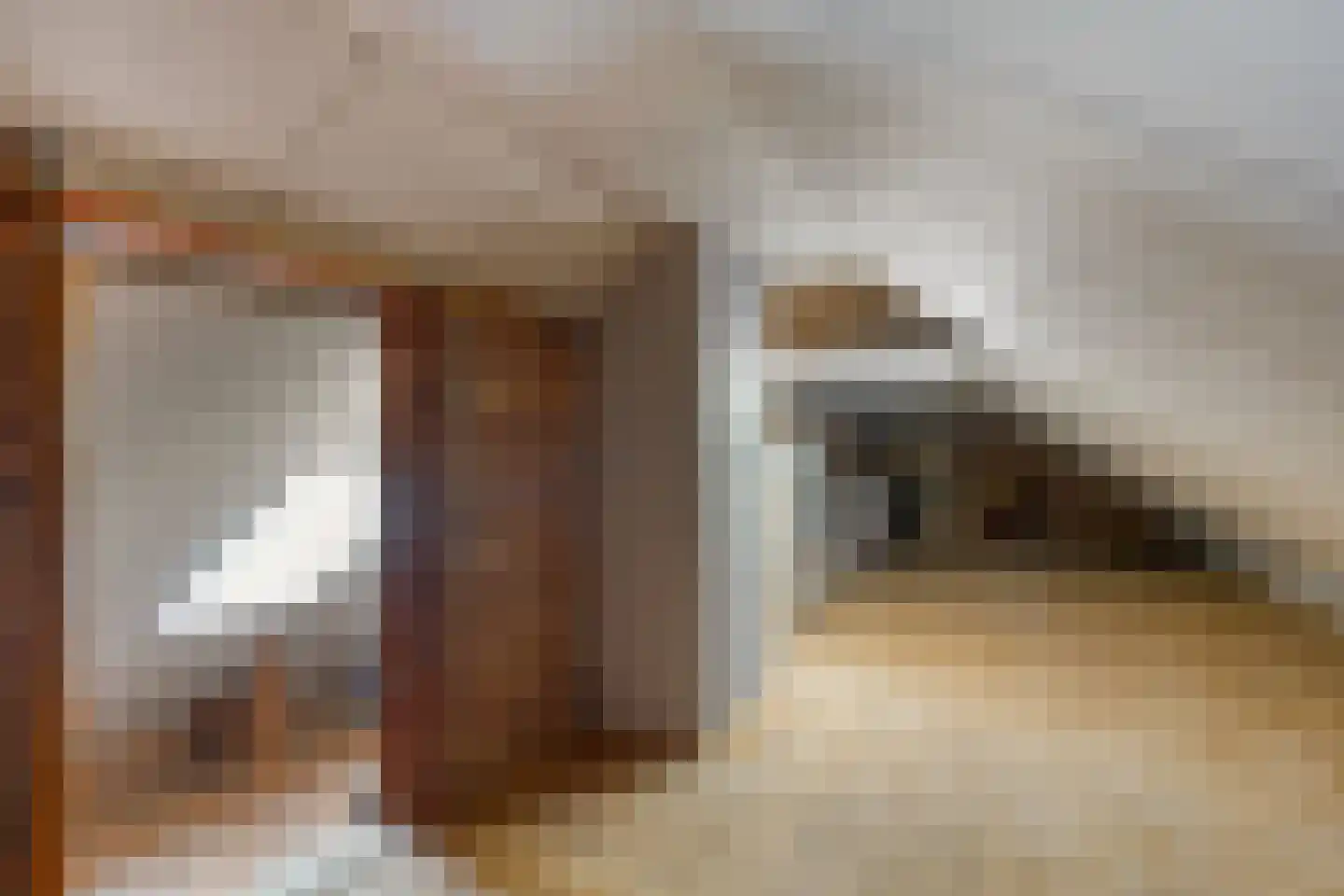 Ketelstraat 4 Diever thumbnail 30