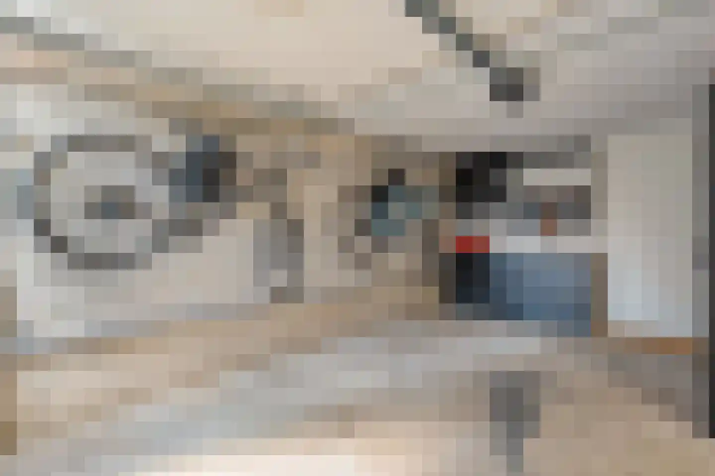 Ketelstraat 4 Diever thumbnail 32