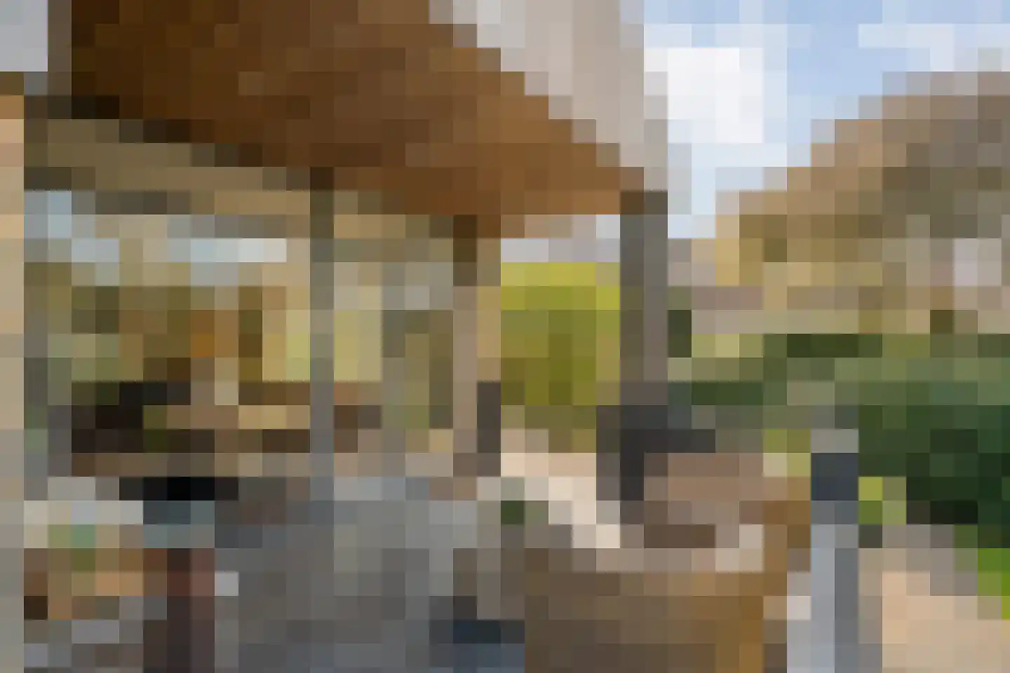 Ketelstraat 4 Diever thumbnail 40