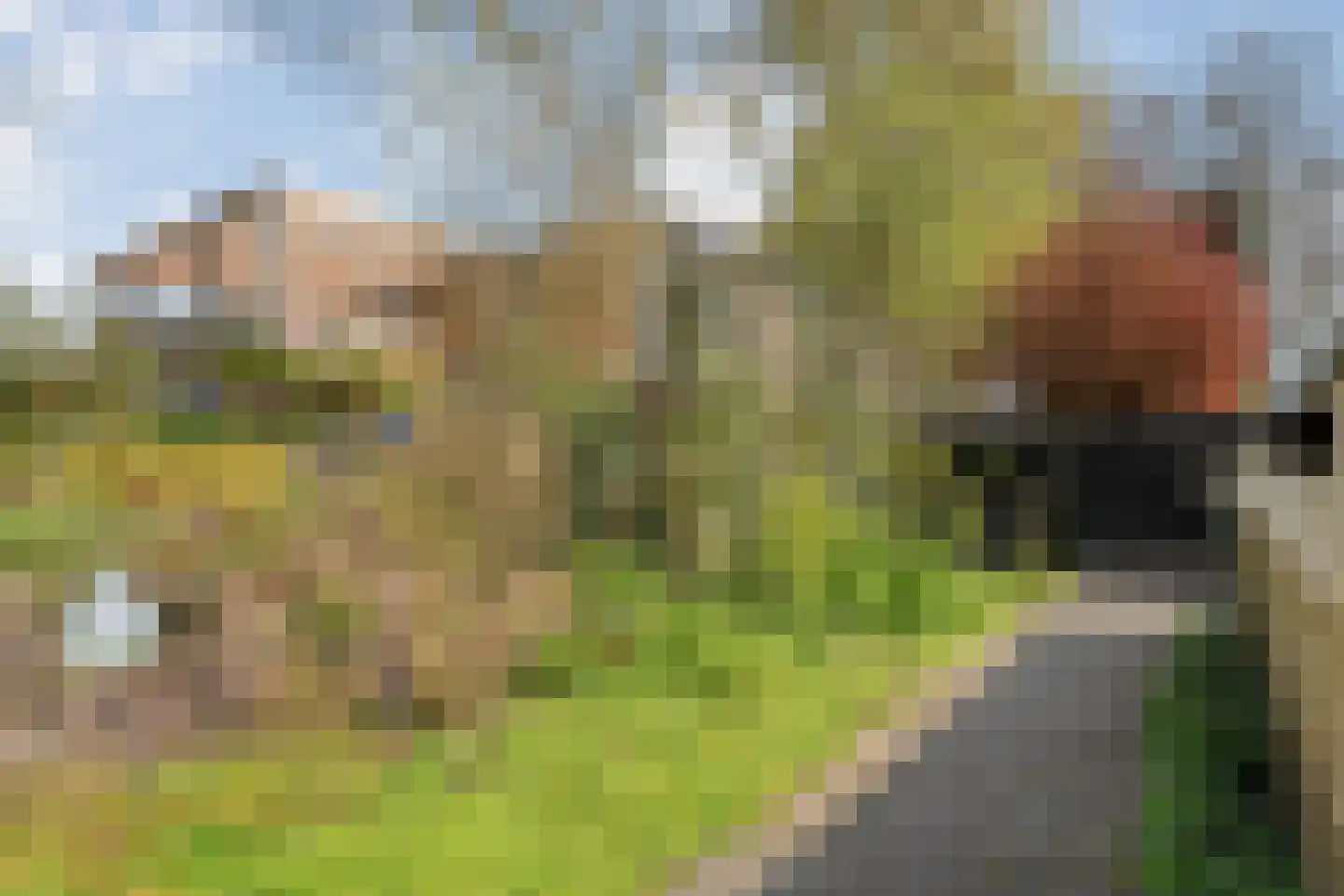 Ketelstraat 4 Diever thumbnail 50