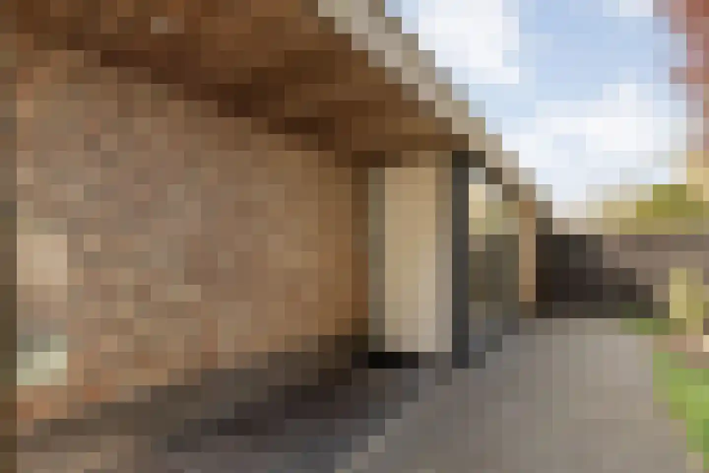 Ketelstraat 4 Diever thumbnail 51