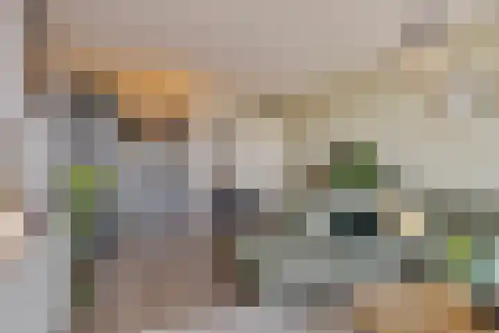 Ketelstraat 9 F Ede thumbnail 6
