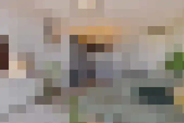 Ketelstraat 9 F Ede thumbnail 7