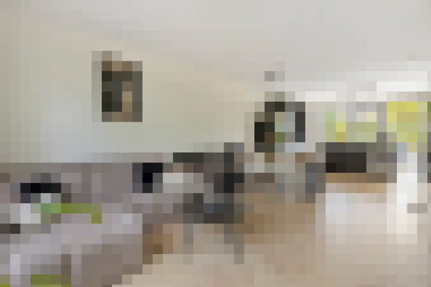 Ketelven 11 Veghel thumbnail 10