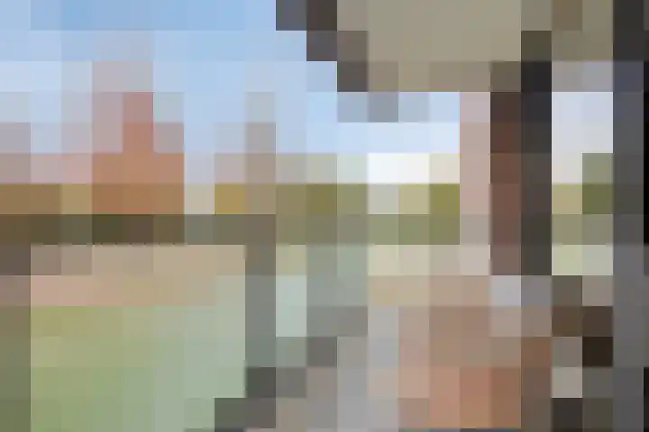 Ketelven 175 Veghel thumbnail 16