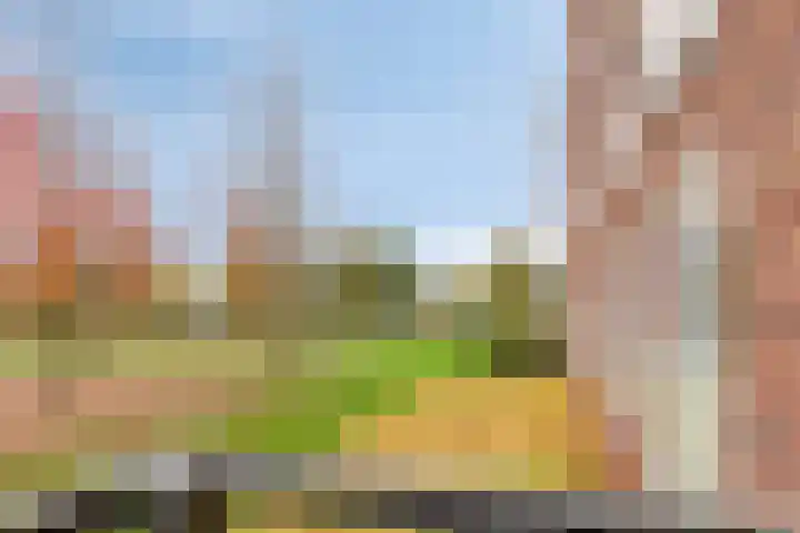 Ketelven 175 Veghel thumbnail 19