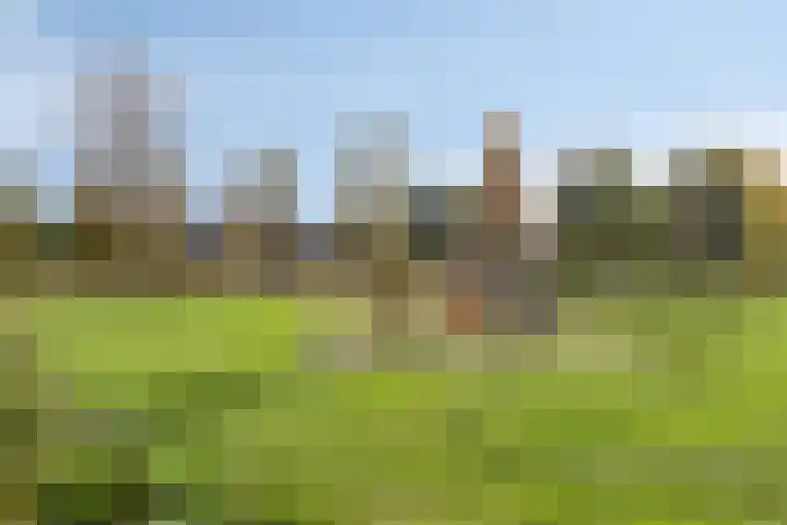 Ketelven 175 Veghel thumbnail 38