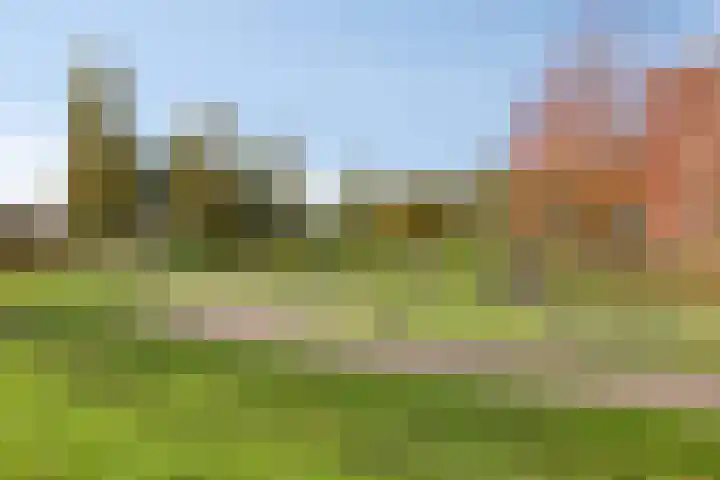 Ketelven 175 Veghel thumbnail 39