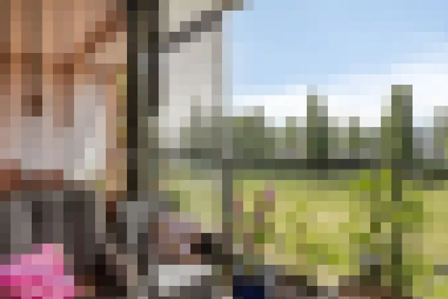 Ketelven 181 Veghel thumbnail 22
