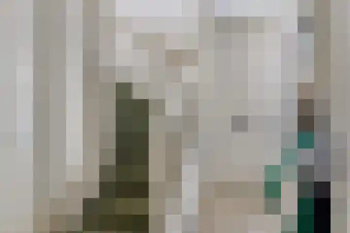 Ketelven 26 Veghel thumbnail 20