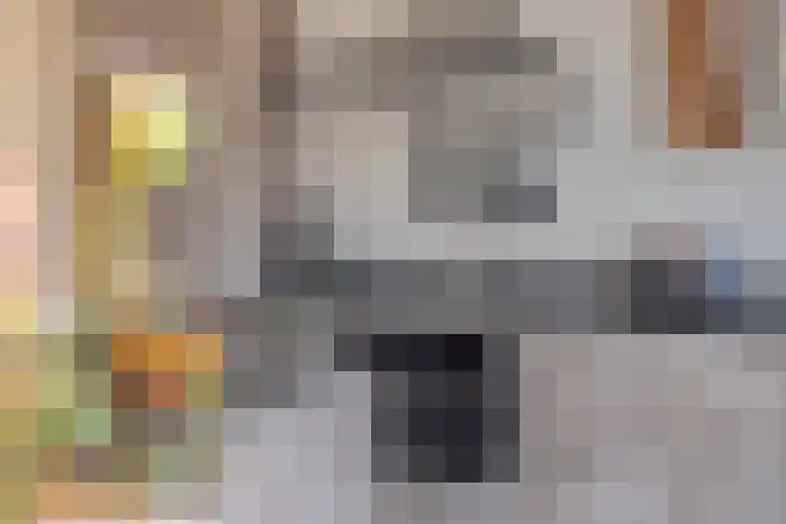 Ketelven 26 Veghel thumbnail 5