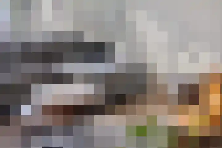 Ketelven 26 Veghel thumbnail 9