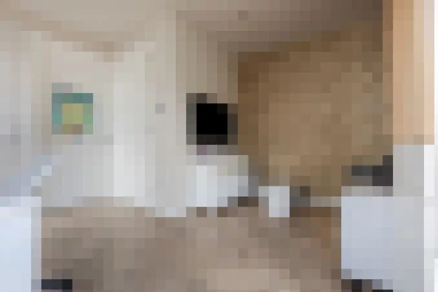 Ketelven 28 Veghel thumbnail 20