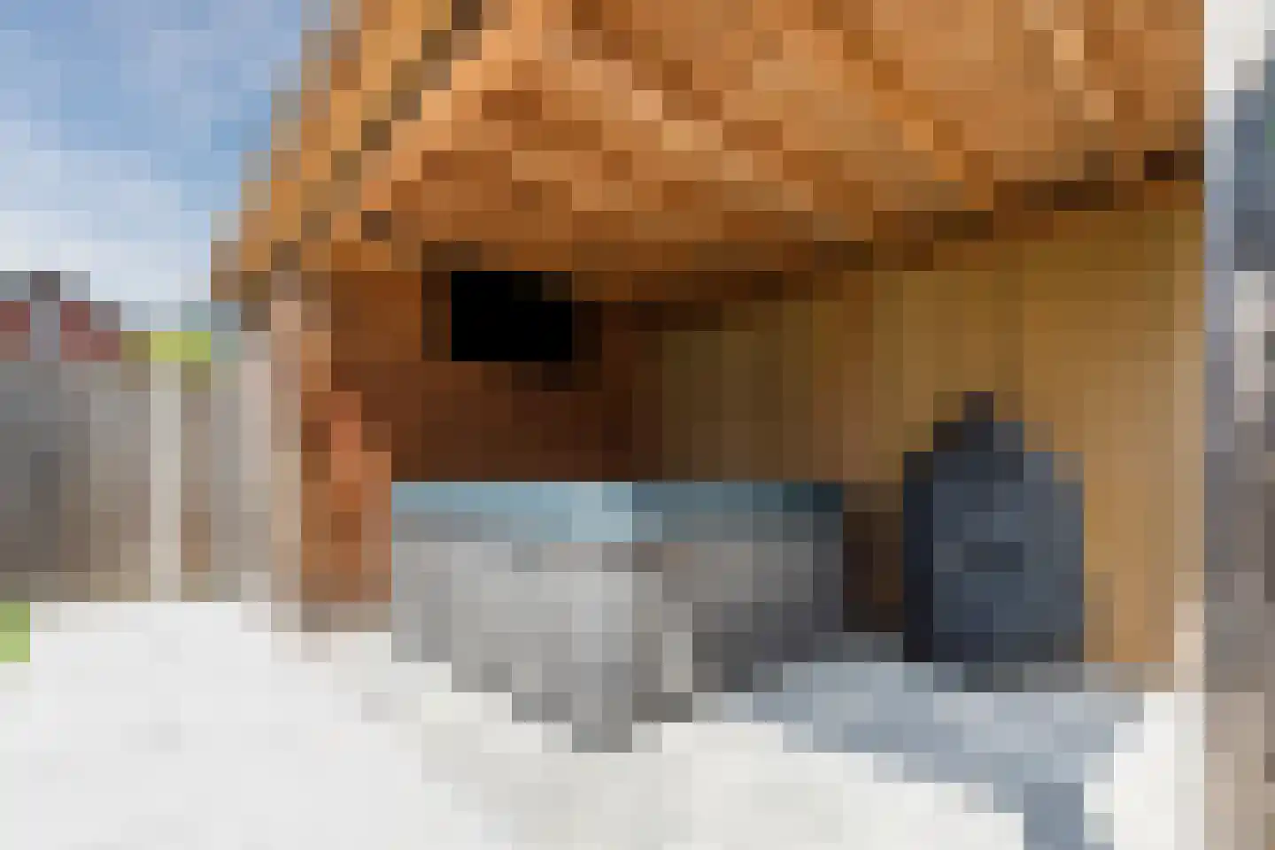 Ketelven 28 Veghel thumbnail 43