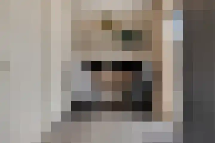 Ketelven 39 Veghel thumbnail 21