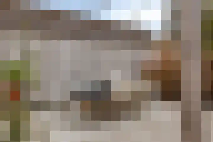 Ketelven 39 Veghel thumbnail 35