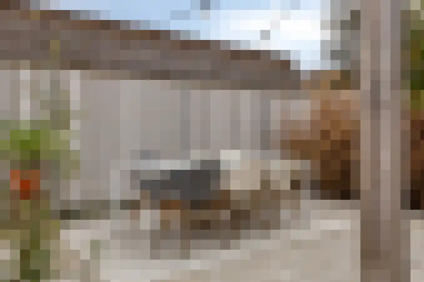 Ketelven 39 Veghel thumbnail 35