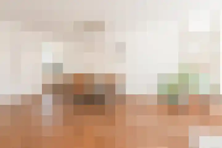 Ketelven 87 Veghel thumbnail 15