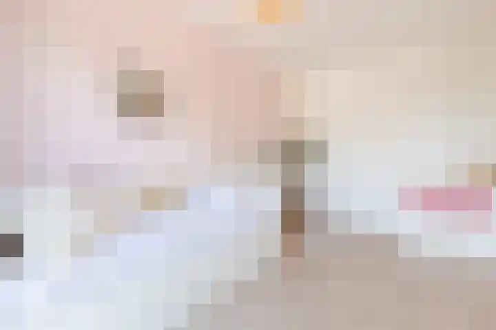 Ketelven 87 Veghel thumbnail 29
