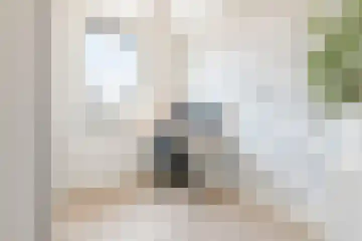 Ketelven 87 Veghel thumbnail 33
