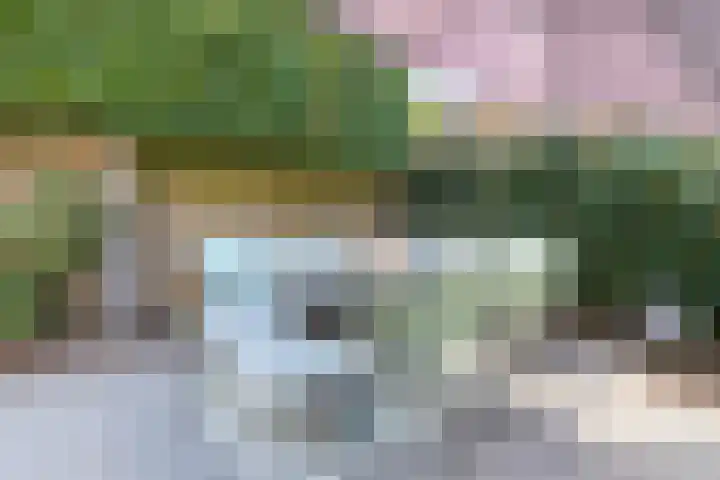 Ketelven 87 Veghel thumbnail 54