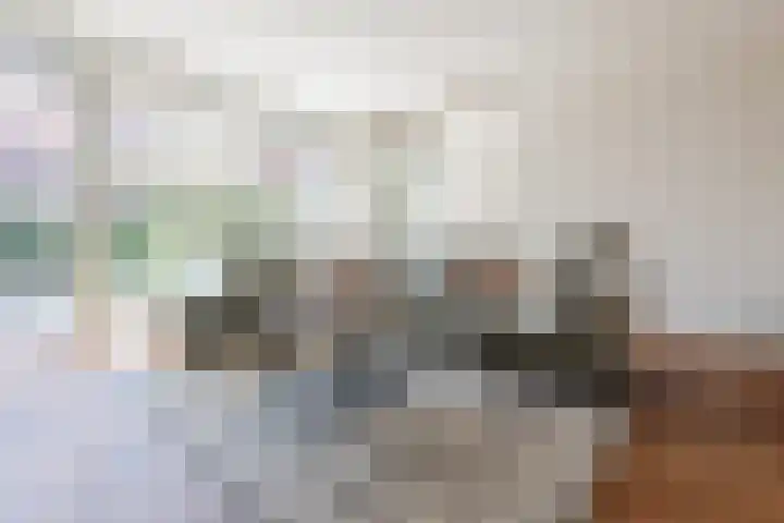 Ketelven 87 Veghel thumbnail 8