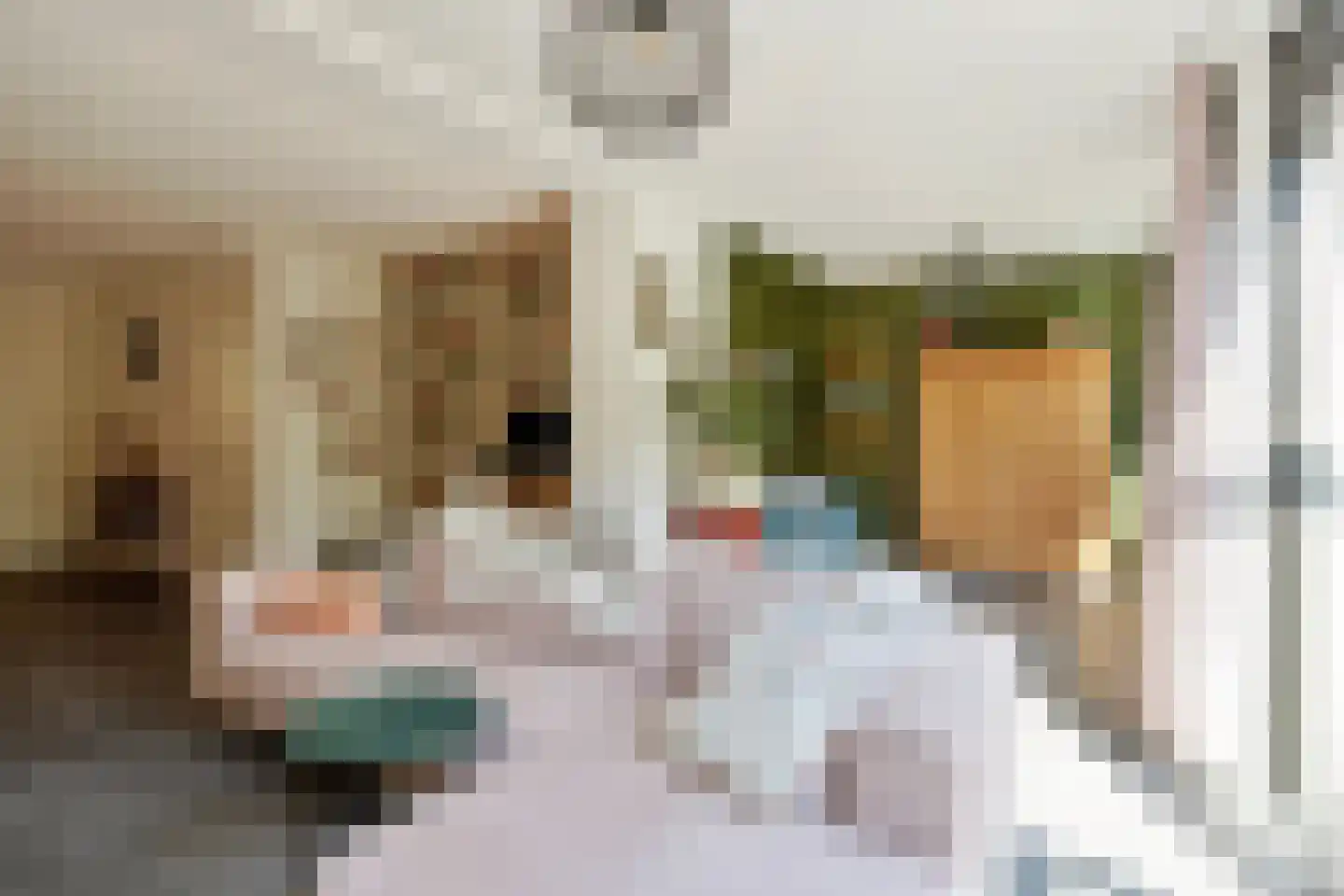 Ketelven 96 Veghel thumbnail 14