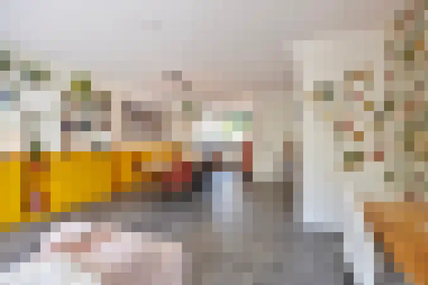 Ketelven 96 Veghel thumbnail 20