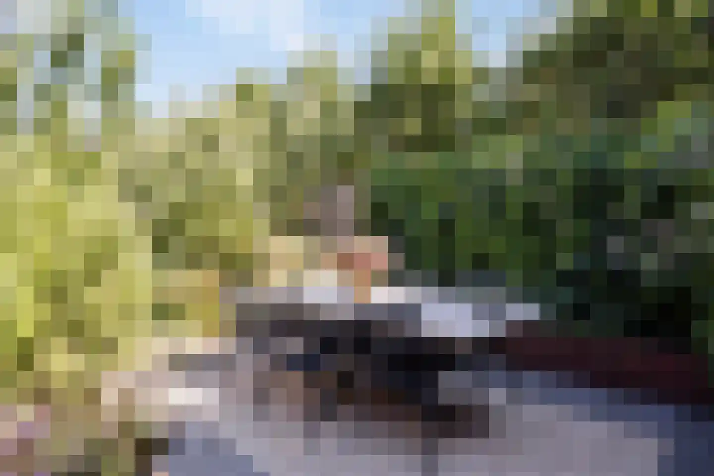 Ketelven 96 Veghel thumbnail 41