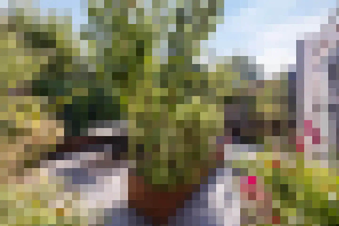 Ketelven 96 Veghel thumbnail 42
