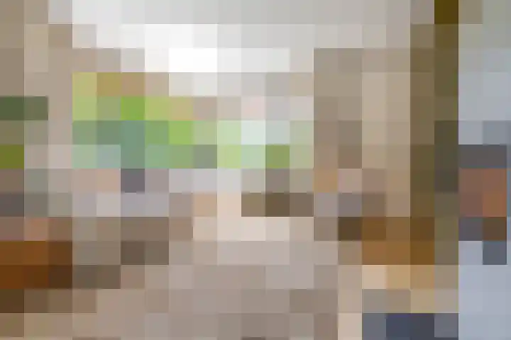 Ketenbosweg 6 Gorssel thumbnail 11