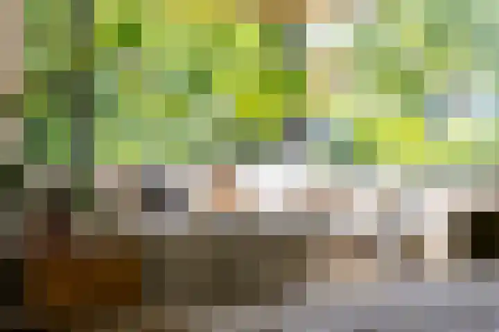 Ketenbosweg 6 Gorssel thumbnail 12